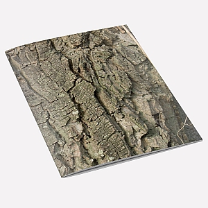 view Walnut Tree Bark A6 Notebook details