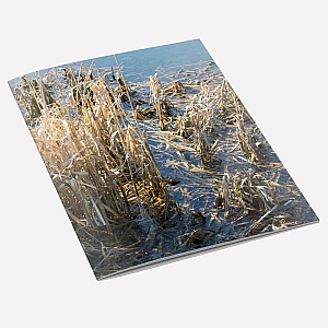 view Winter Rushes Notebook details